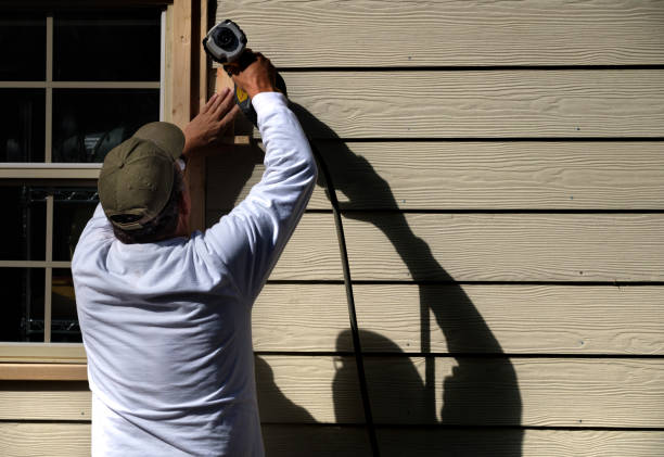 Best Steel Siding Installation  in Minier, IL